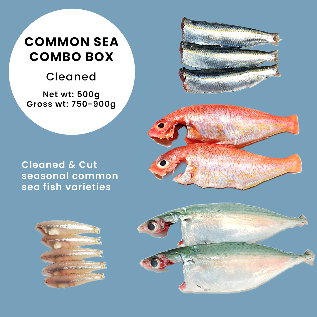 Common Sea Combo Box