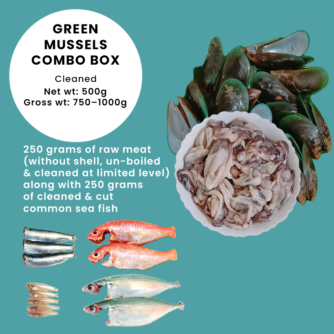Green Mussels Combo Box – Cleaned