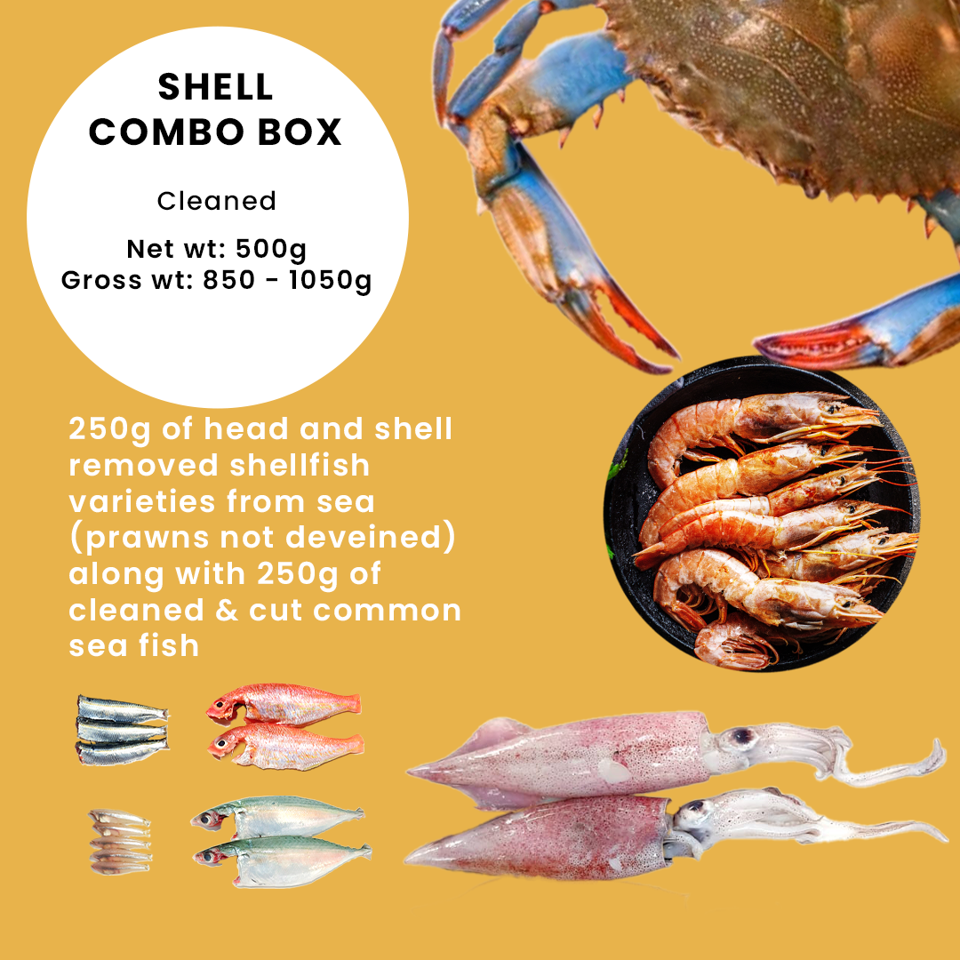 Shell Combo Box – Cleaned
