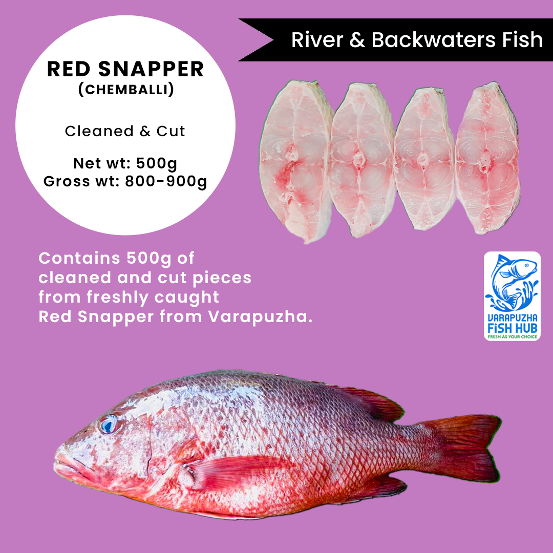 Redsnapper (Chemballi) – Cleaned & Cut