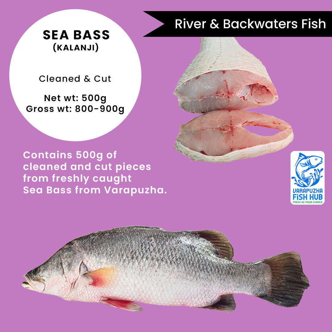Sea Bass (Kalanji) – Cleaned & Cut