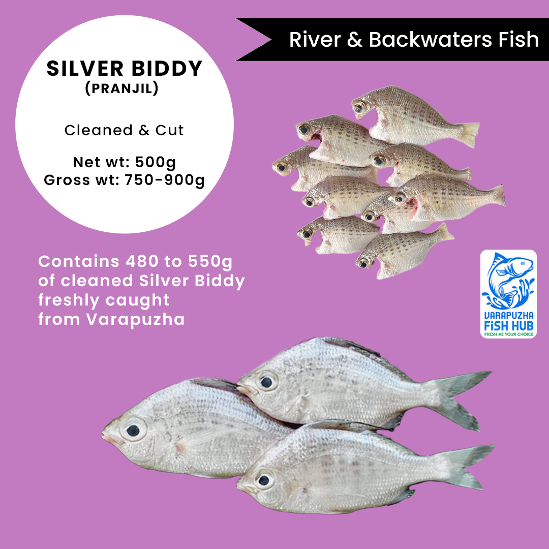Silver Biddy (Pranjil) – Cleaned & Cut