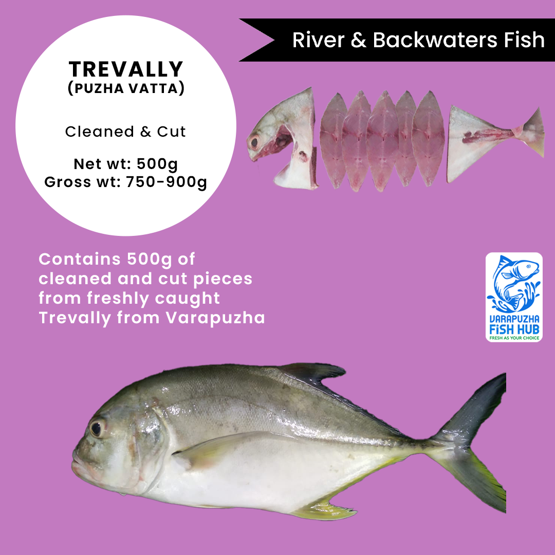 Trevally (Puzha Vatta) – Cleaned & Cut