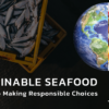 Sustainable Seafood: A Guide to Making Responsible Choices