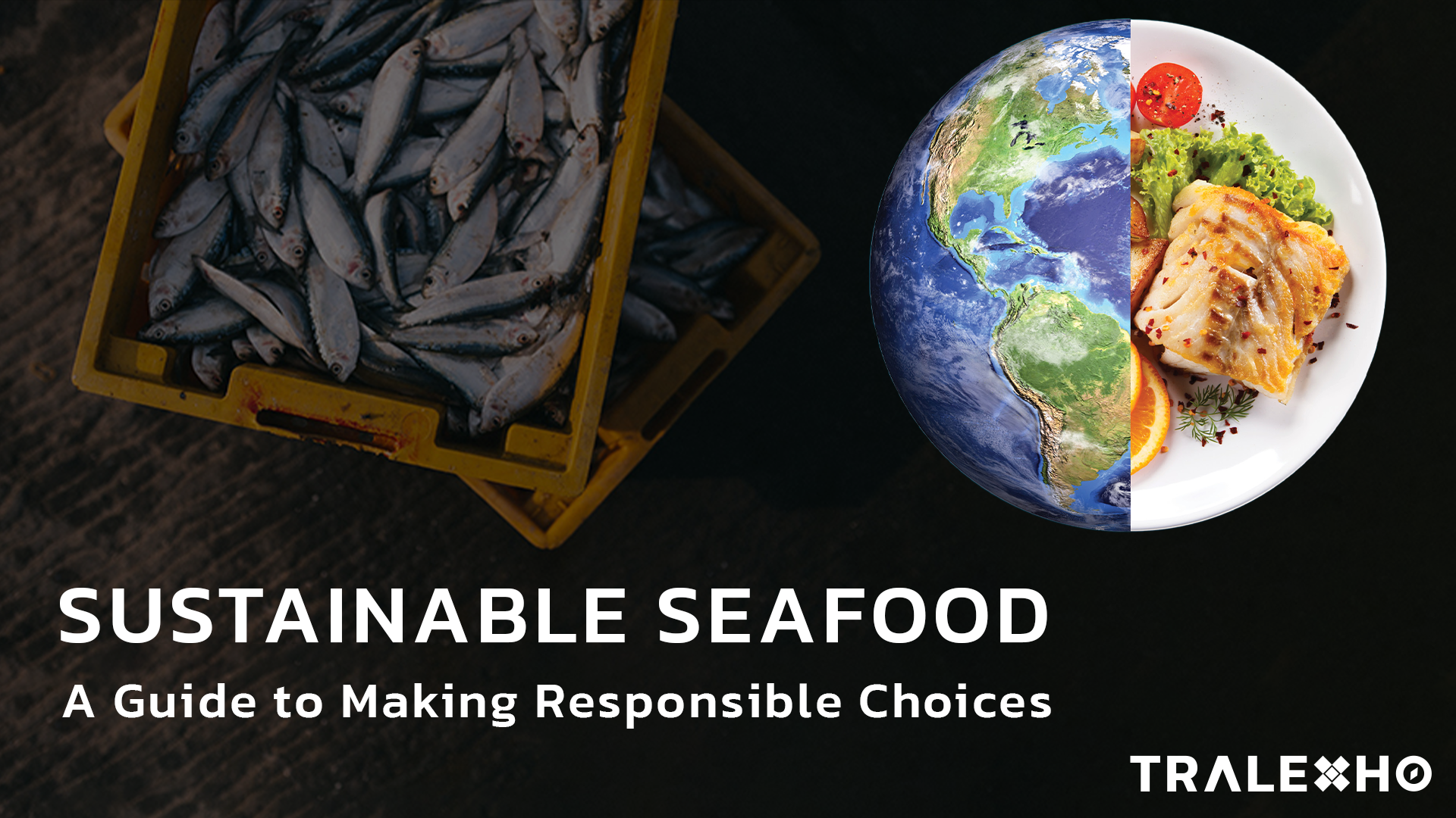 Sustainable Seafood: A Guide to Making Responsible Choices