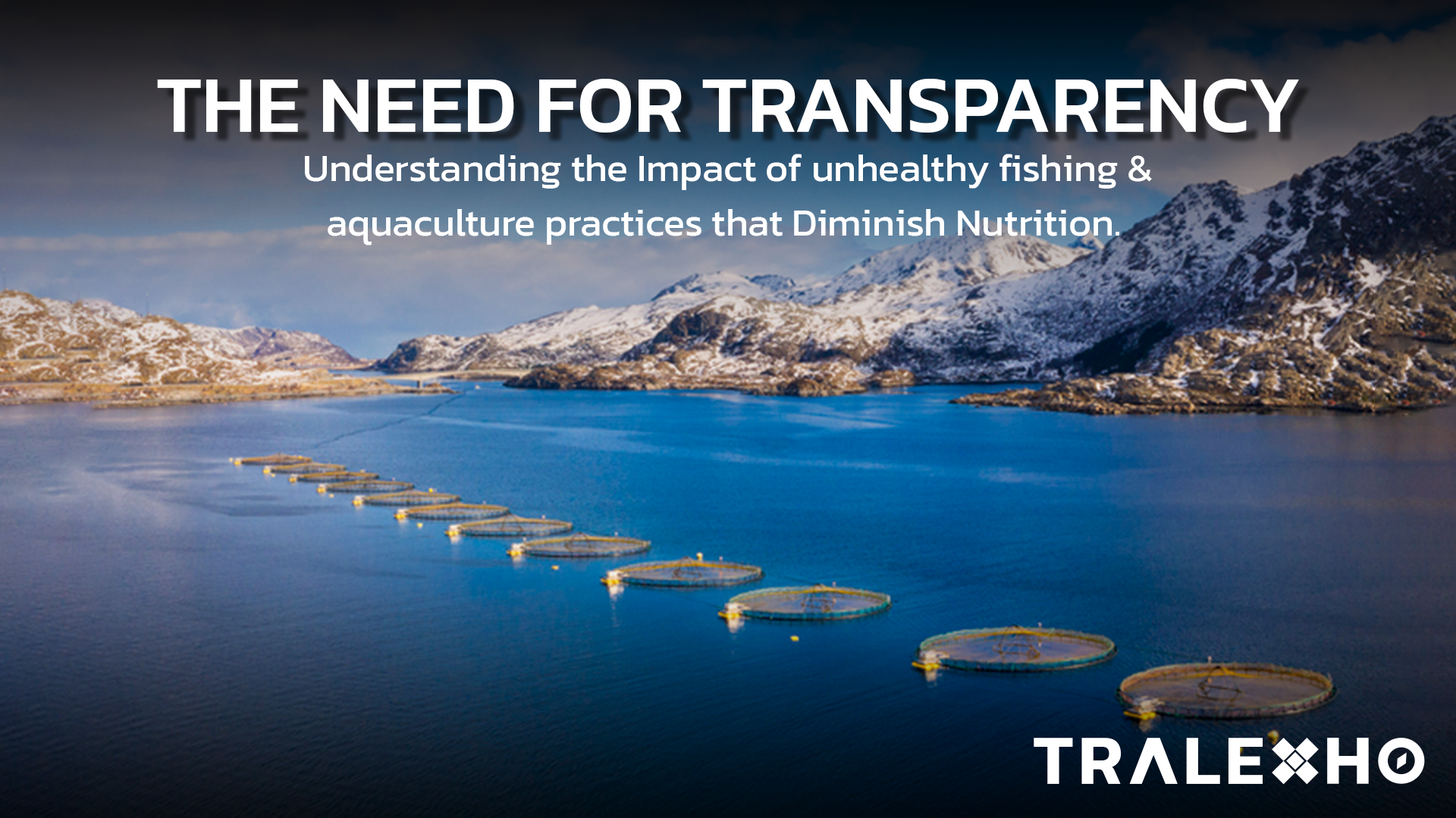 The Need for Transparency: Understanding the Impact of unhealthy fishing & aquaculture practices that Diminish Nutrition